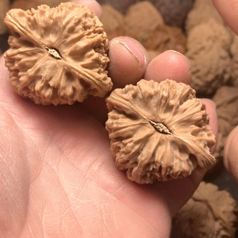 【闪购商品】南疆石