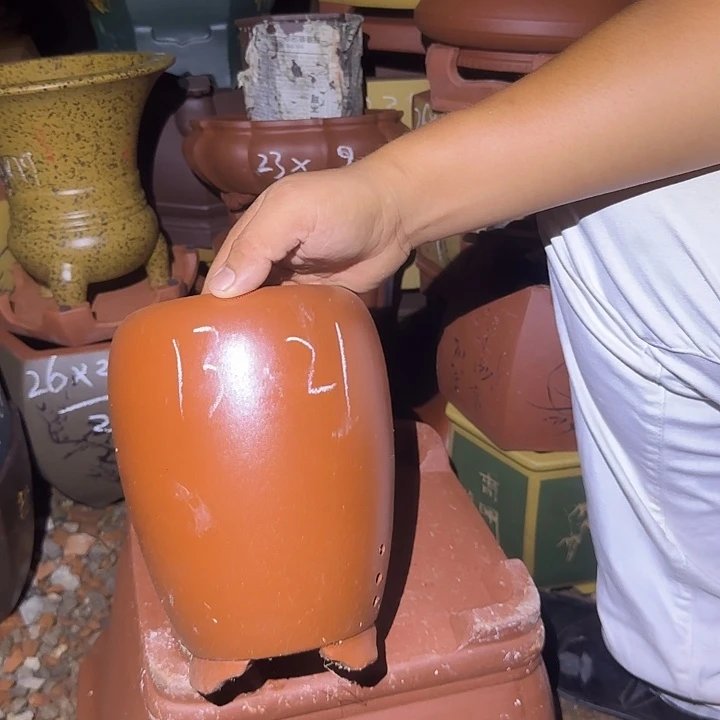 紫砂花盆盆景盆盆景