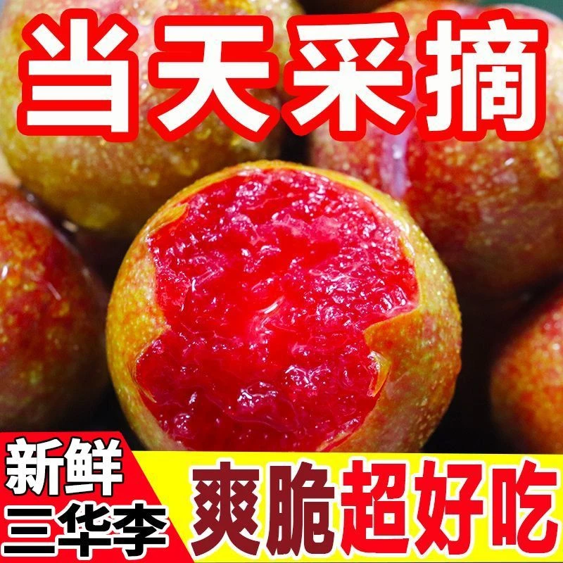 【广西酸嘢】广西三华李李子水果酸脆李现摘现发孕妇当季新鲜水果