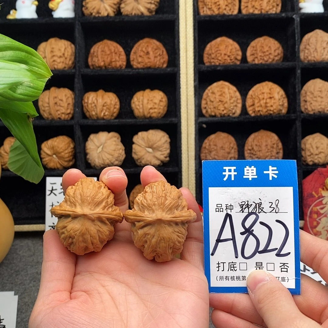 文玩核桃把件野狼38