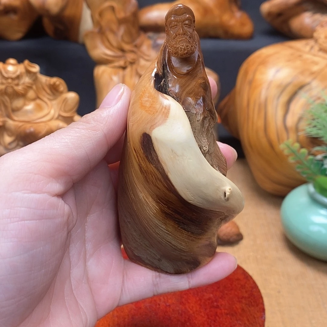 柏木（崖柏）一物一图