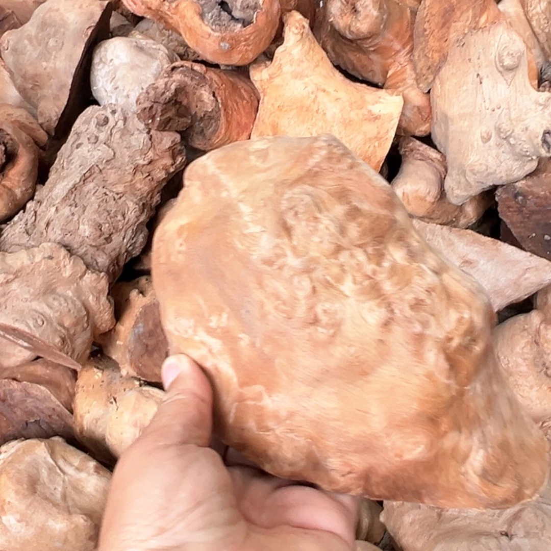 荔枝木泽*荔枝木毛料