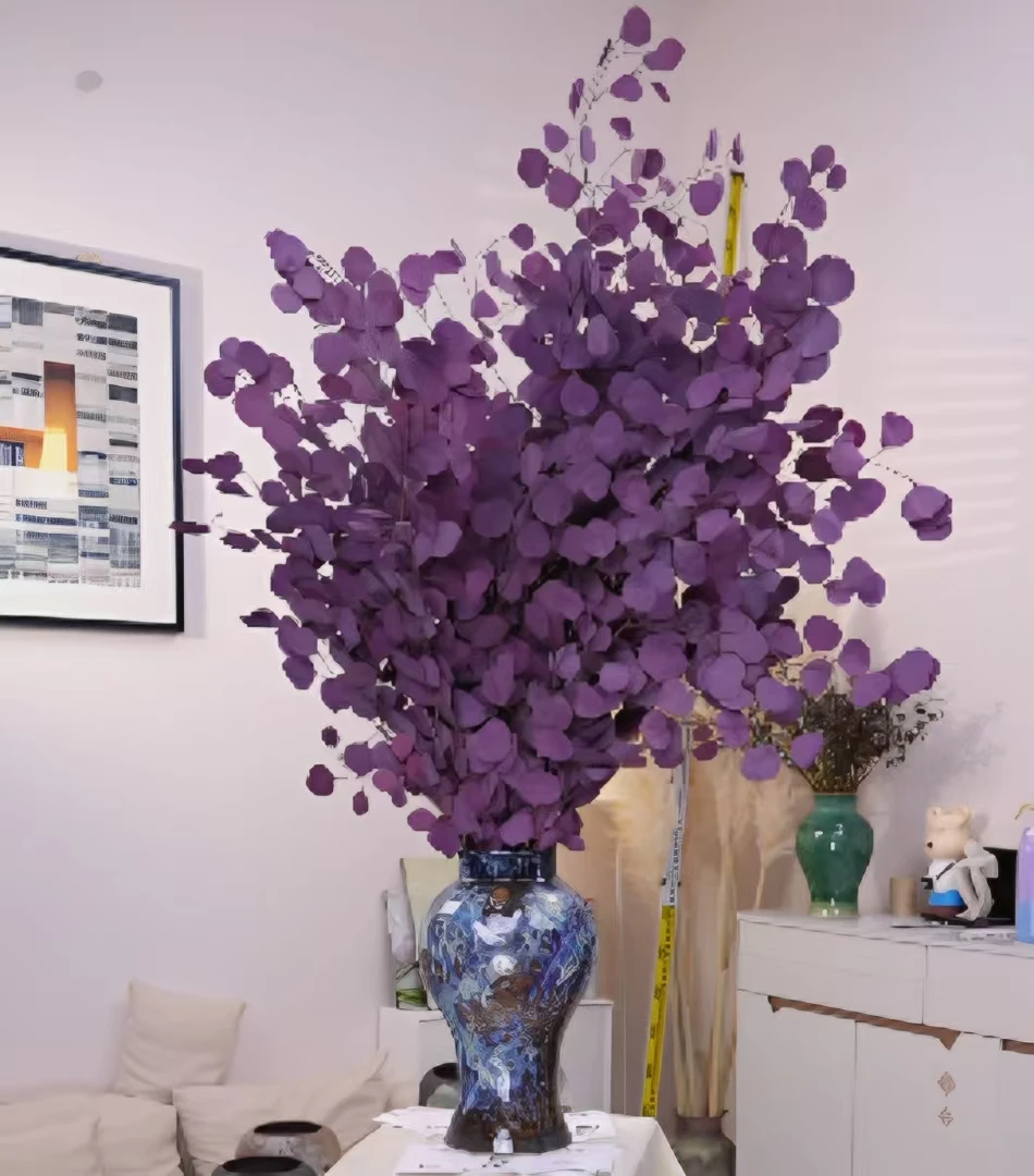 【桌面款】澳洲进口尤加利苹果绿植叶永生花轻奢装饰