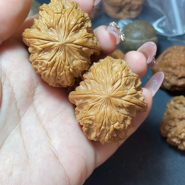 暴雪41