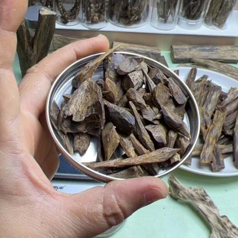 沉香碎屑沉香黑*棋楠千里香熟结树丁26克