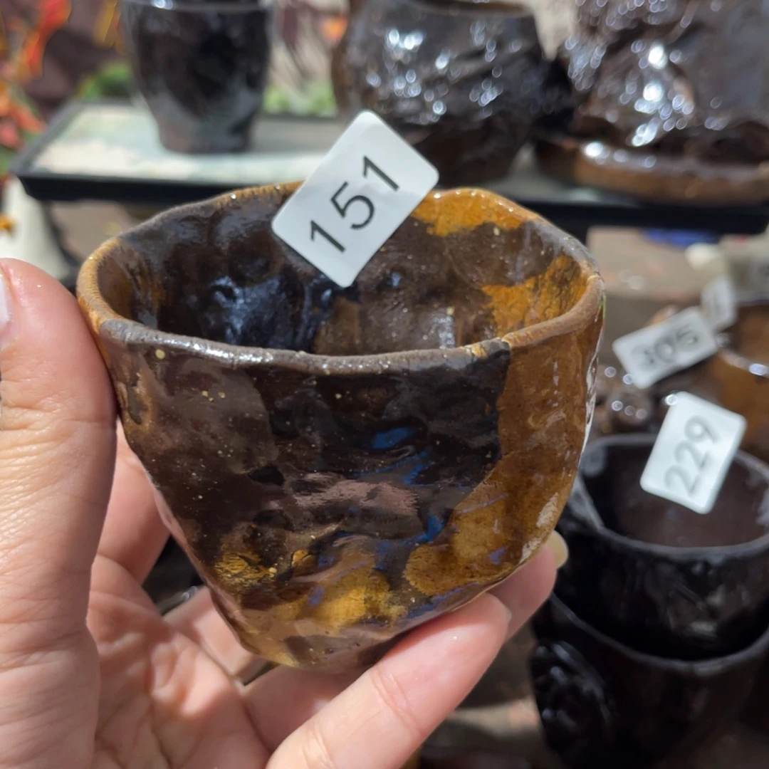 木村信弘柴烧保平