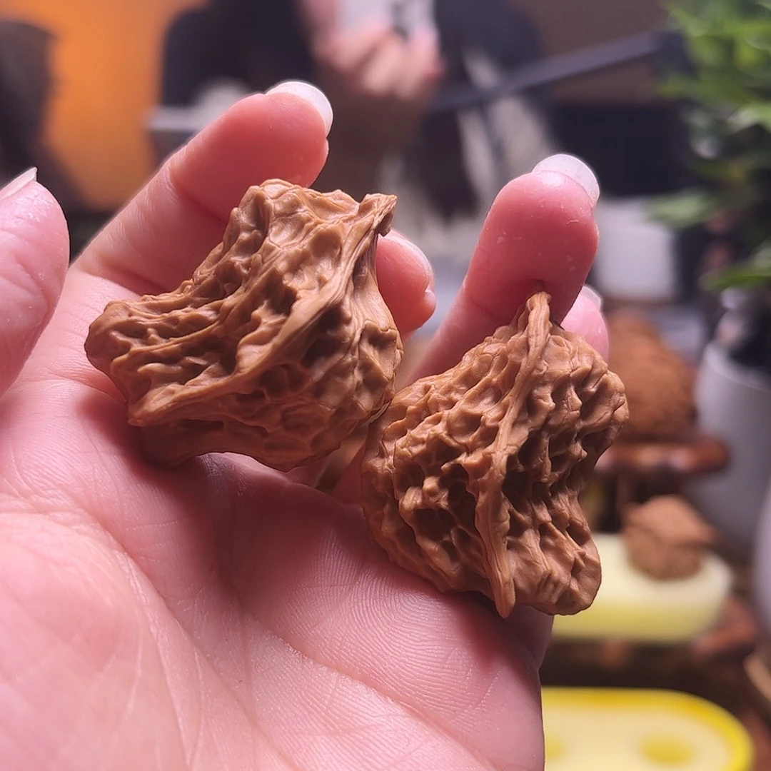 文玩核桃把件41高小鸟60