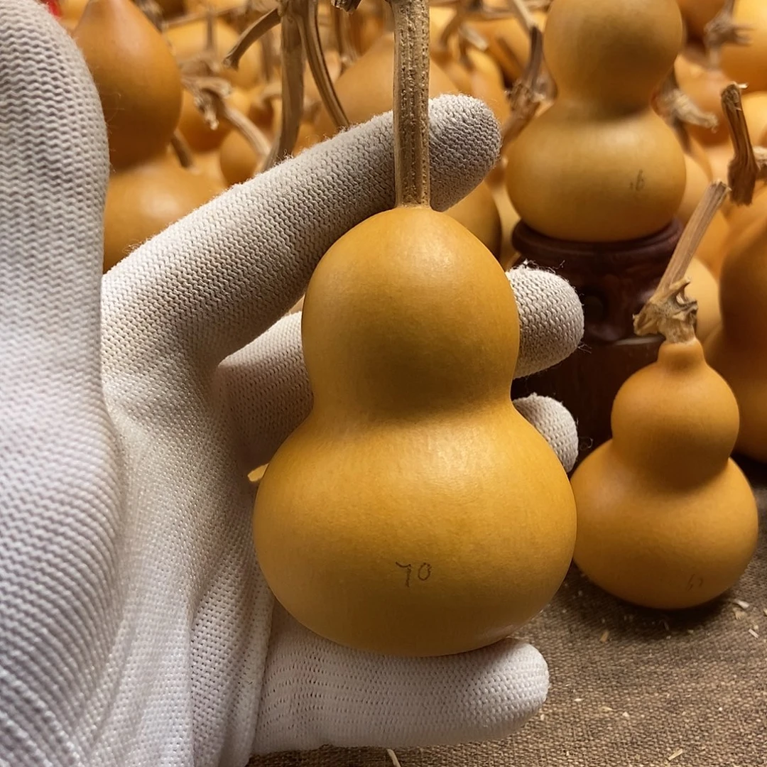 文玩葫芦 完美主义者 慎拍70