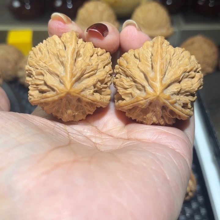 文玩核桃把件39文山正奔三棱