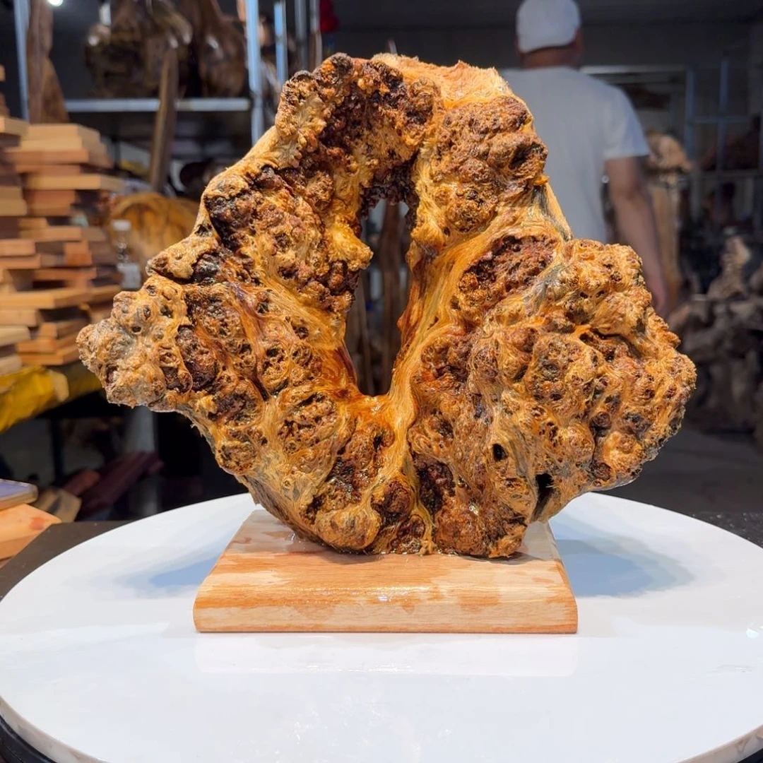 木雅*苑王一刀琥珀木88