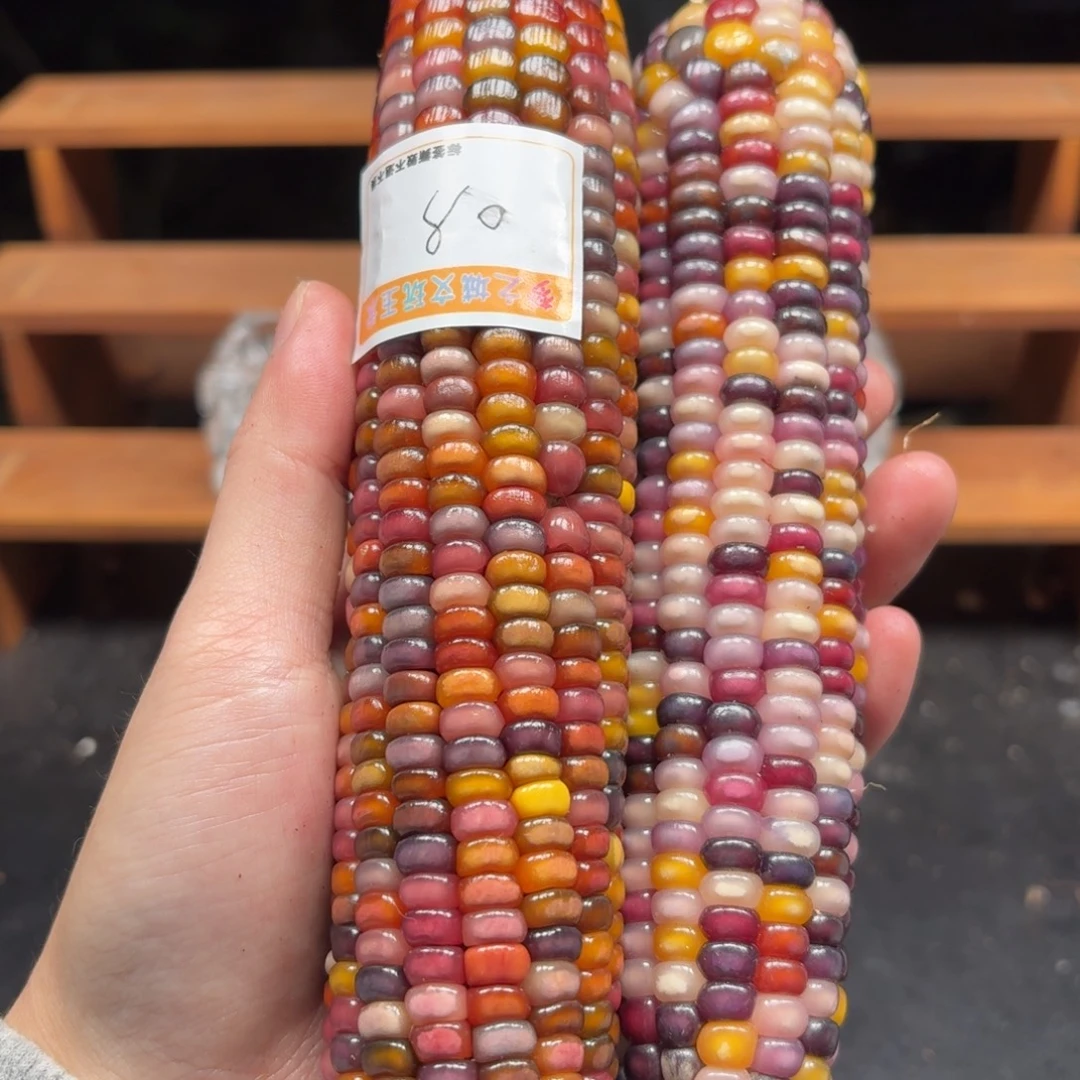 周***活银S925七彩宝石文玩玉米