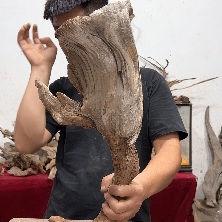 柏木崖***工我们都是好孩子呀我也