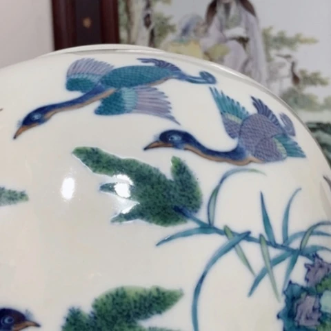 杯西*我也好可爱的小