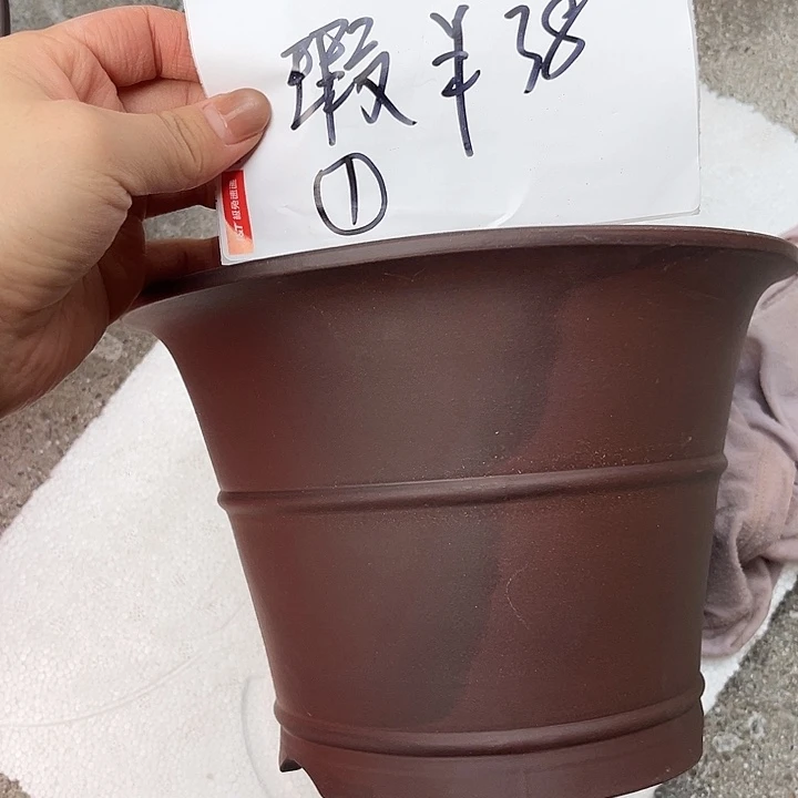 荷***月其他紫砂8868855888888888888