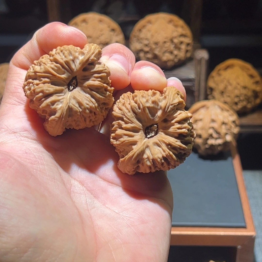 文玩核桃把件42凹底