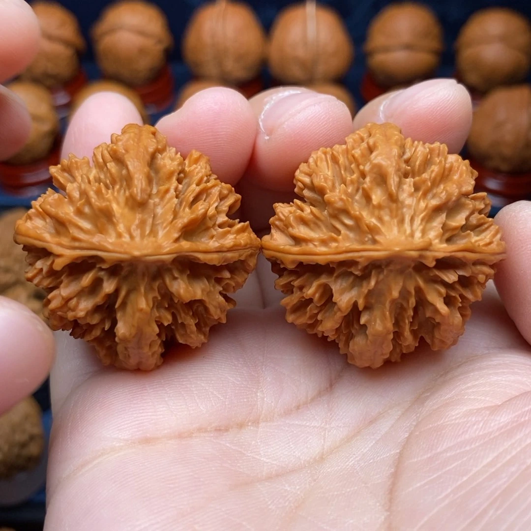 文玩核桃把件手捻花王狮子头