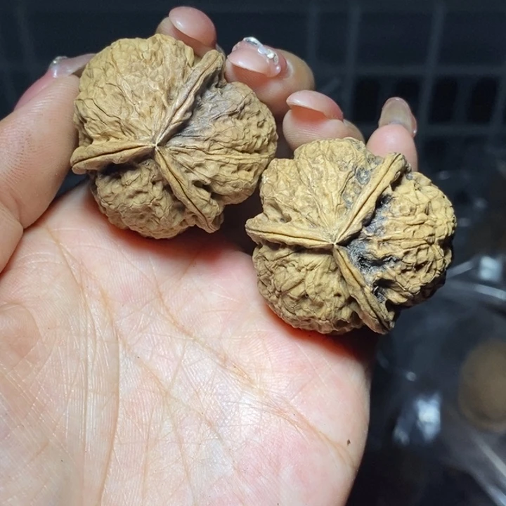 核桃云南野生铁核桃81号37mm