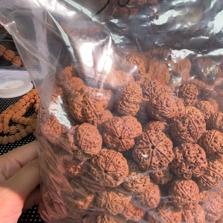 没***气手串金刚菩提散籽