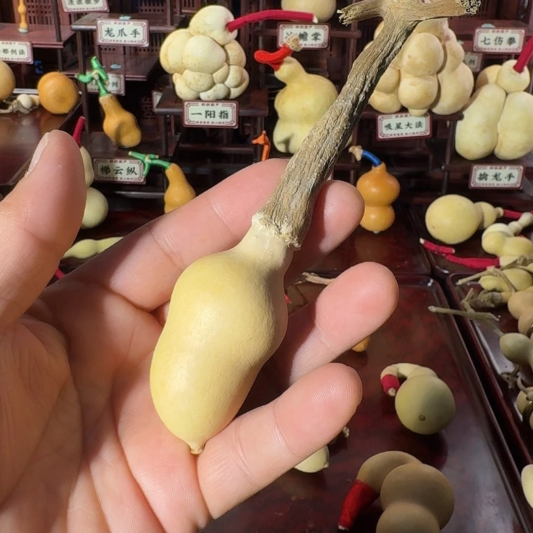 胖蚂蚁爆龙头厚皮压手