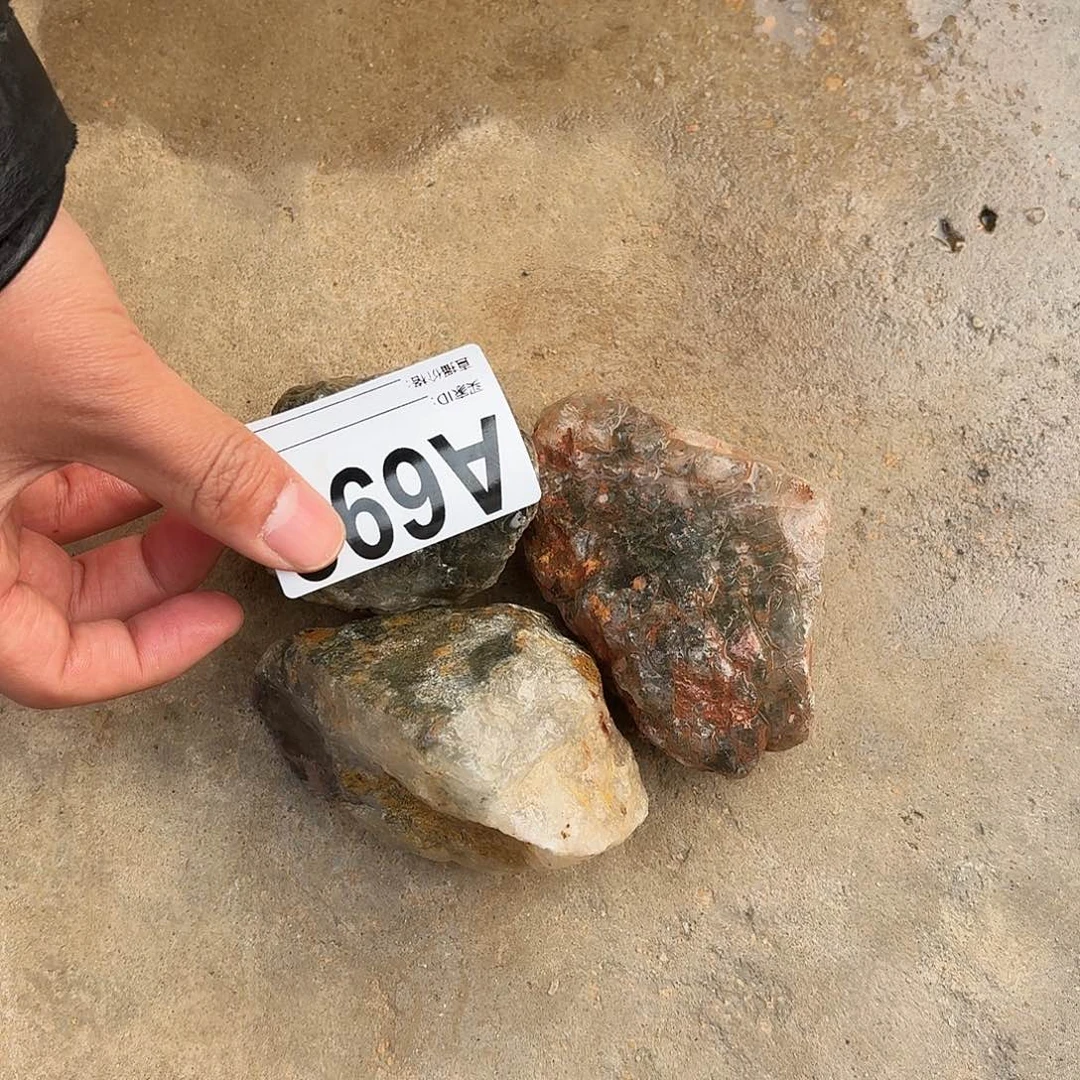 水晶绿幽灵699多样性发一个未镶嵌