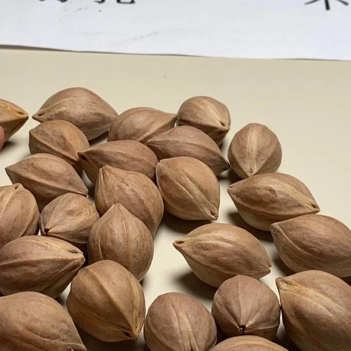 橄榄核手串/手链橄榄油等多种营养成分