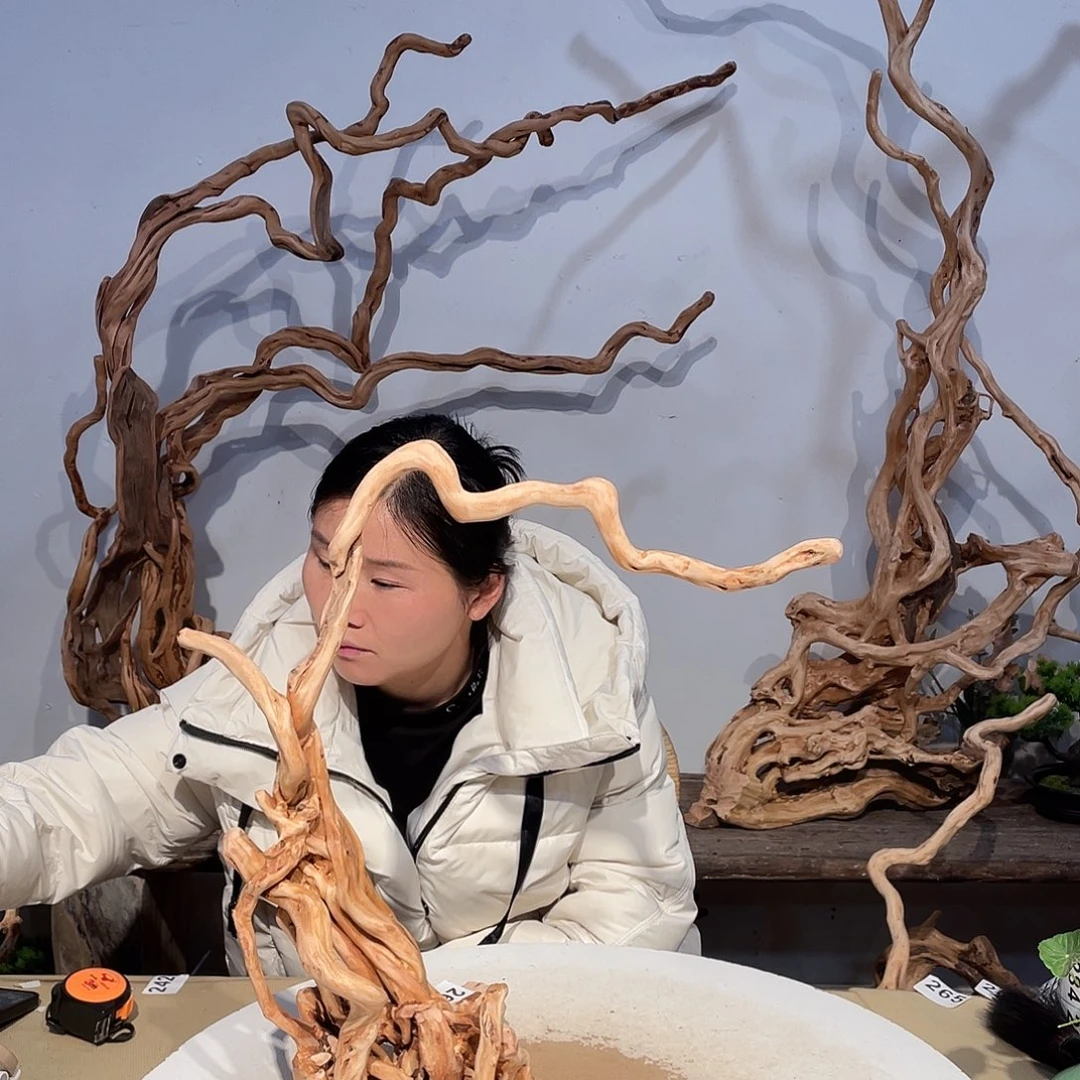 核桃木/黑胡桃（胡桃木）善*?