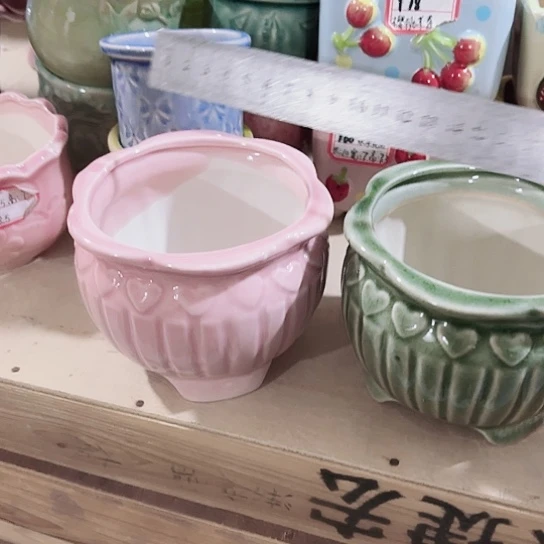 花盆11111111111111