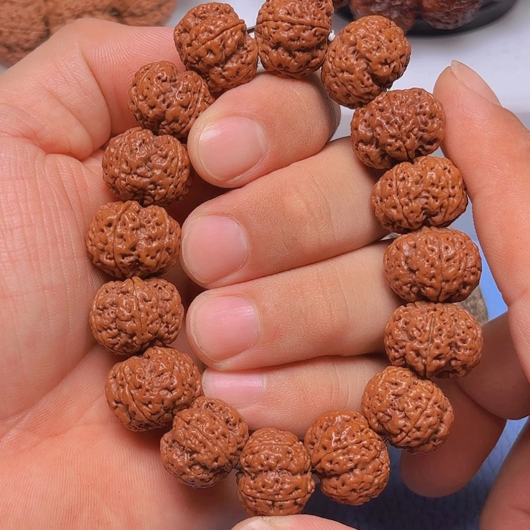 金刚菩提手串醋***菜228/19mm 五星蜂王