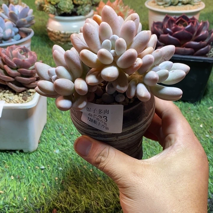 0523啊啊啊啊啊啊啊啊啊啊