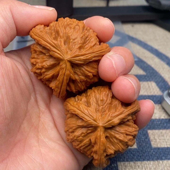 吊坠文玩核桃羽*三棱