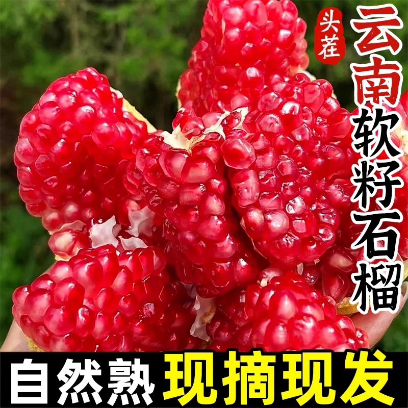 正宗云南突尼斯软籽石榴新鲜水果当季非无籽石榴酸甜可口当季热卖