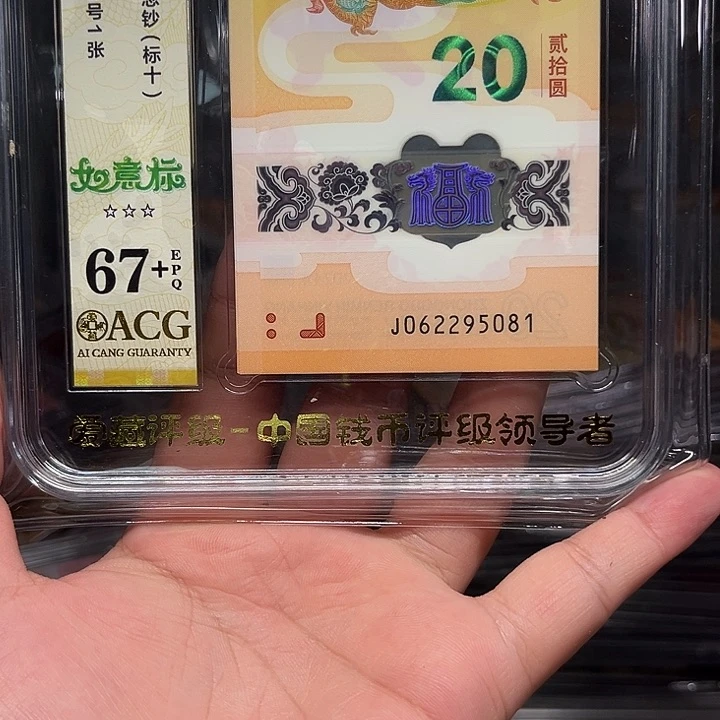 塑料龙钞啊啊啊啊啊啊啊啊啊