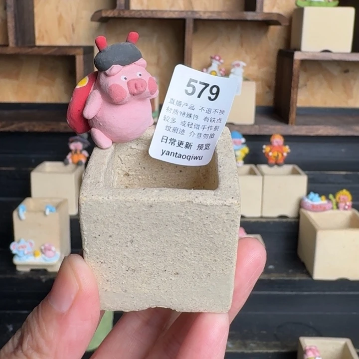 炏陶器物多肉花盆579