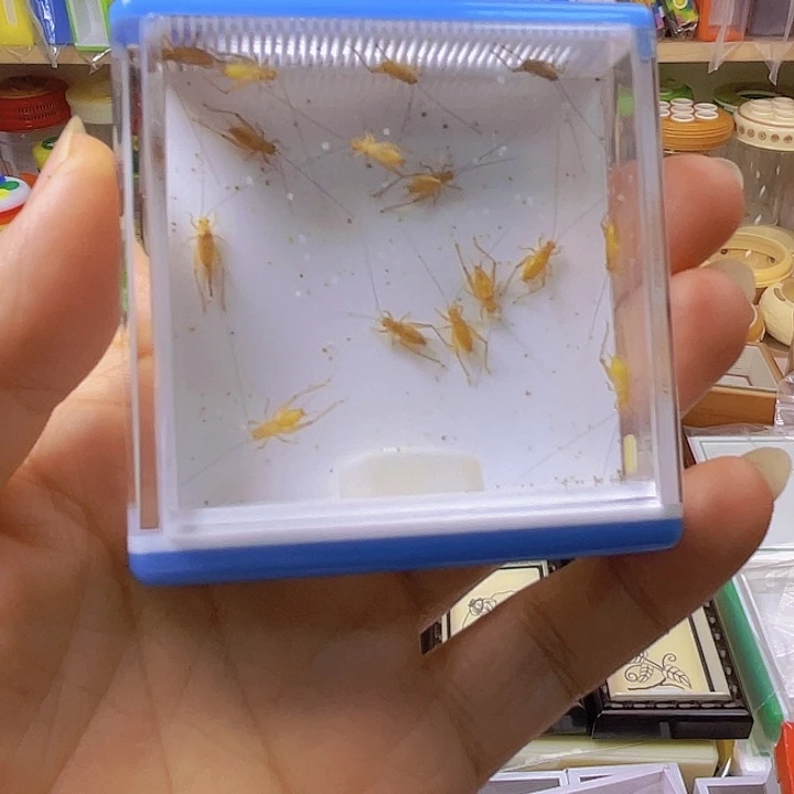 深***ღ鸣虫盒子啊啊啊啊啊