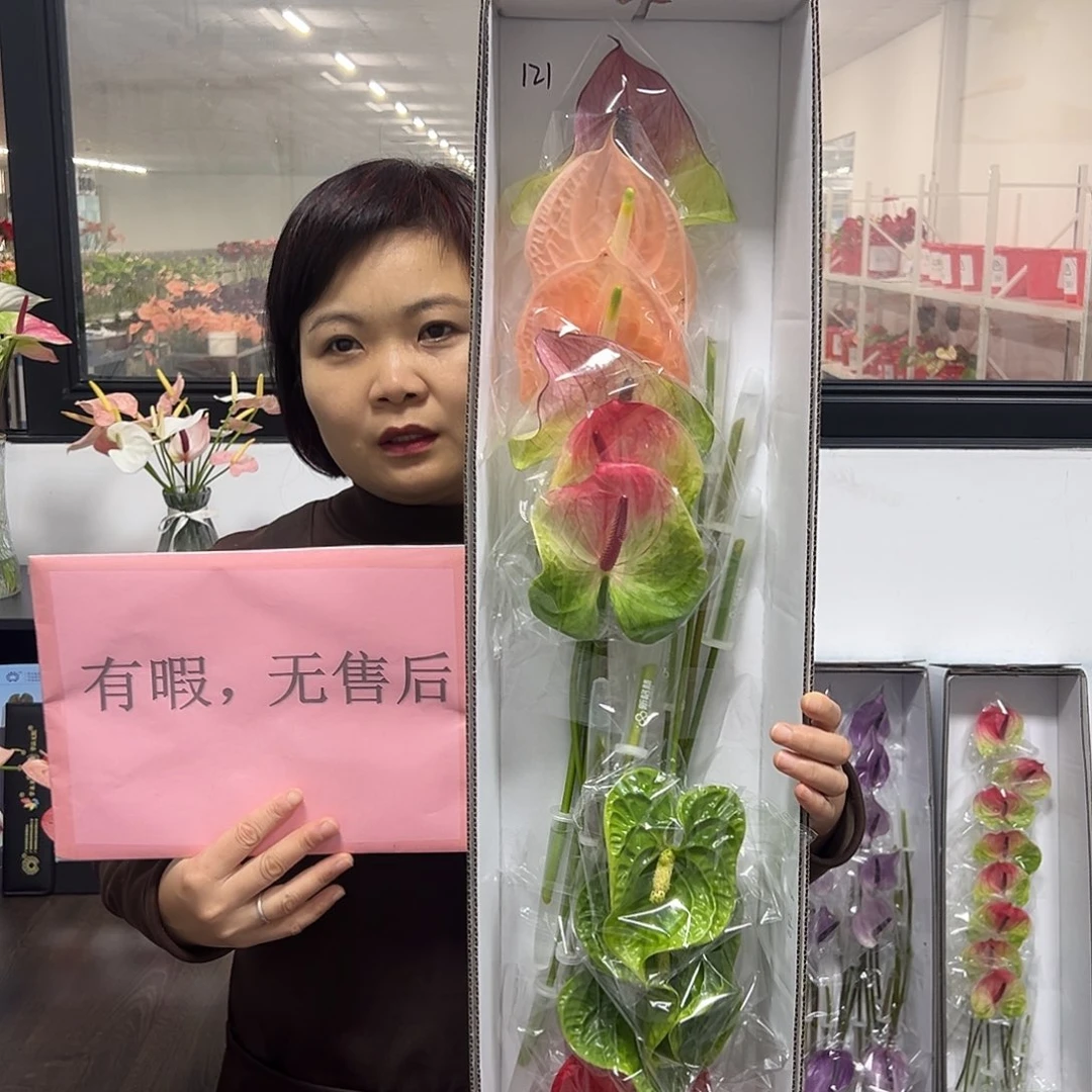 完全开放混色-12枝装无售后款121
