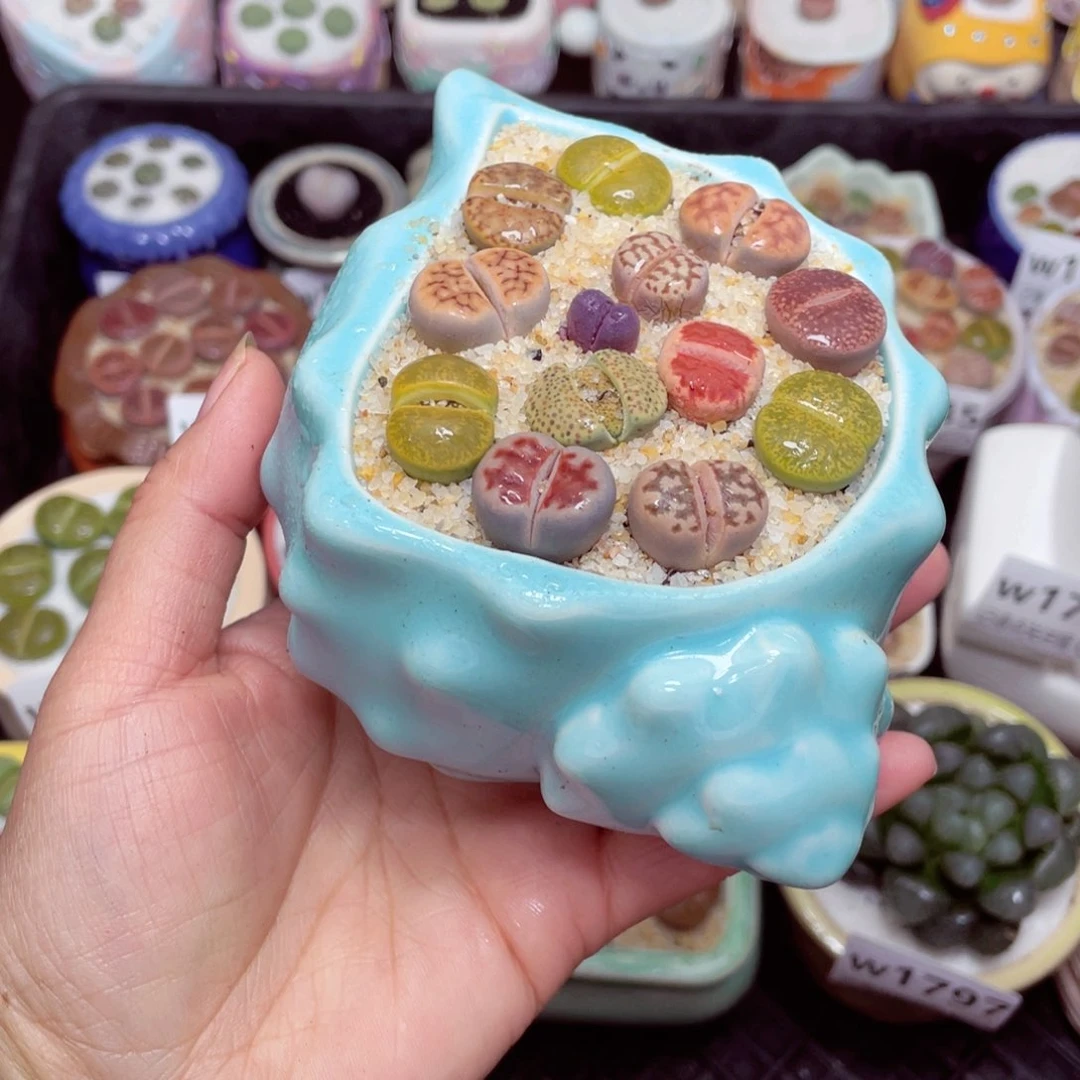 w1800 -零下地区拍保温箱-15支持寄养