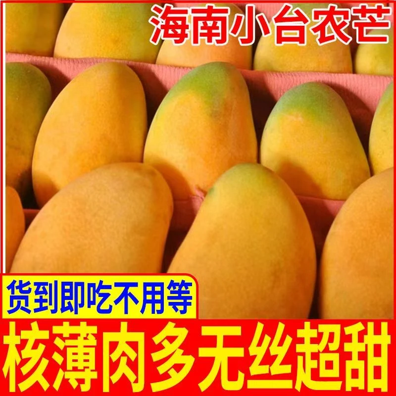 S1正宗海南小台芒新鲜芒果水果当季树上熟大果整箱