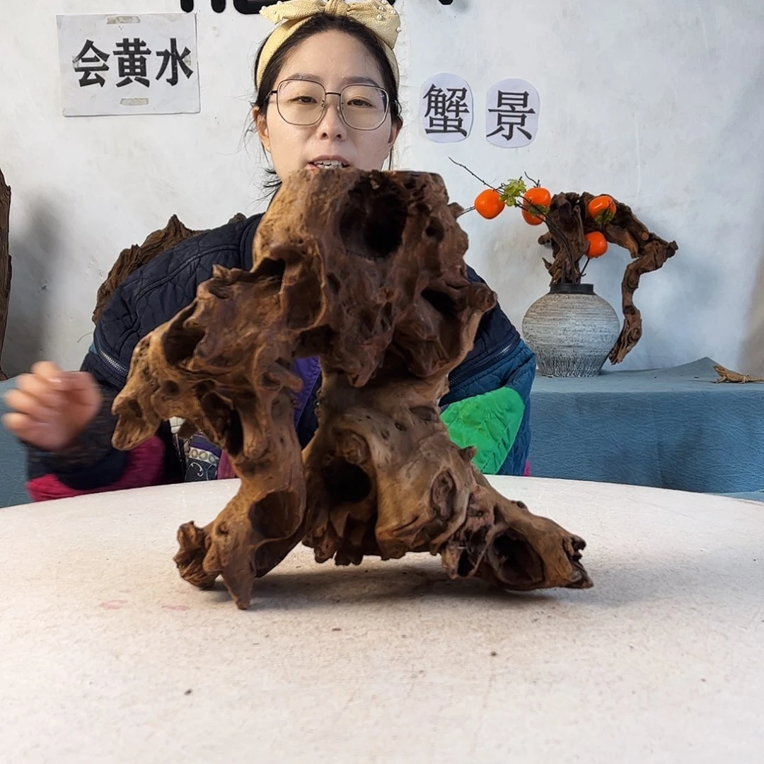 沉木造景寄居蟹造景