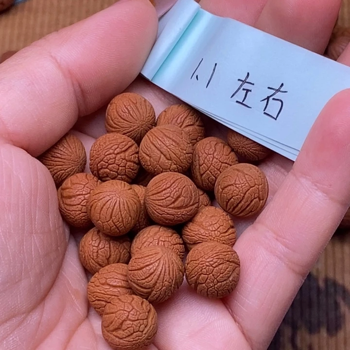 核桃秦岭龙纹桃核
