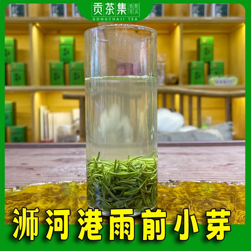 【精品2号】信阳毛尖明前小芽浓香耐泡绿茶茶叶50克/500克