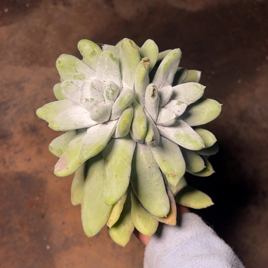 1654哈哈哈哈哈哈哈哈