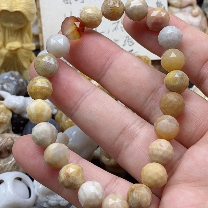 颈饰未镶嵌硅化珊瑚（珊瑚玉）