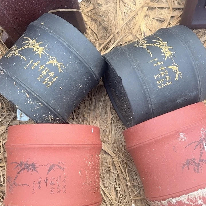 紫砂紫砂紫砂紫砂紫砂