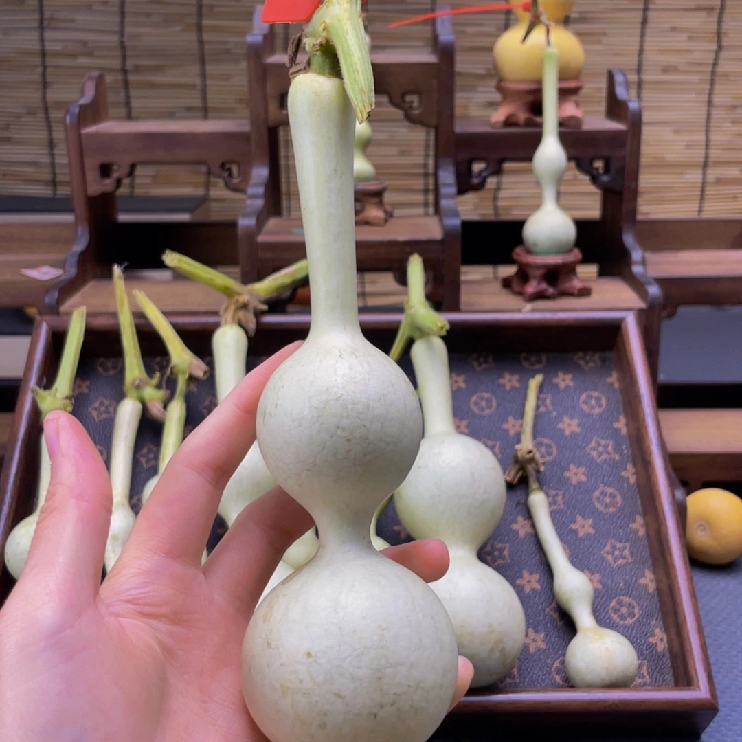 家***爱我们的生活方式就是这样一
