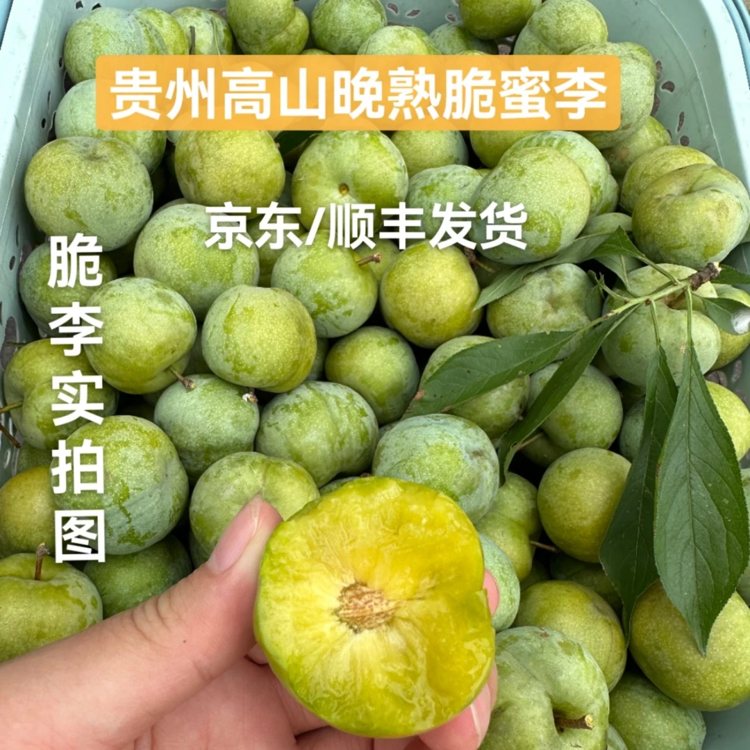 【江怀助农专属】贵州高山晚熟蜂蜜晚熟脆李/脆甜/应季水果京东空运