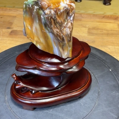 硅化玉未镶嵌树化玉