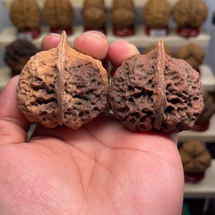 核桃文玩铁核桃七彩妖皇45尺