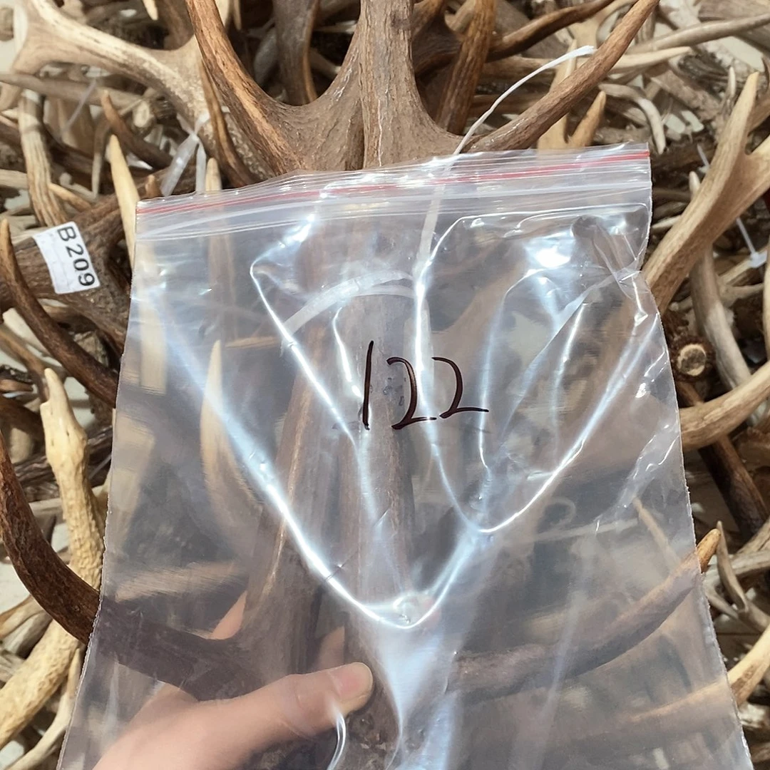 s****0鹿角鹿角鹿角鹿角