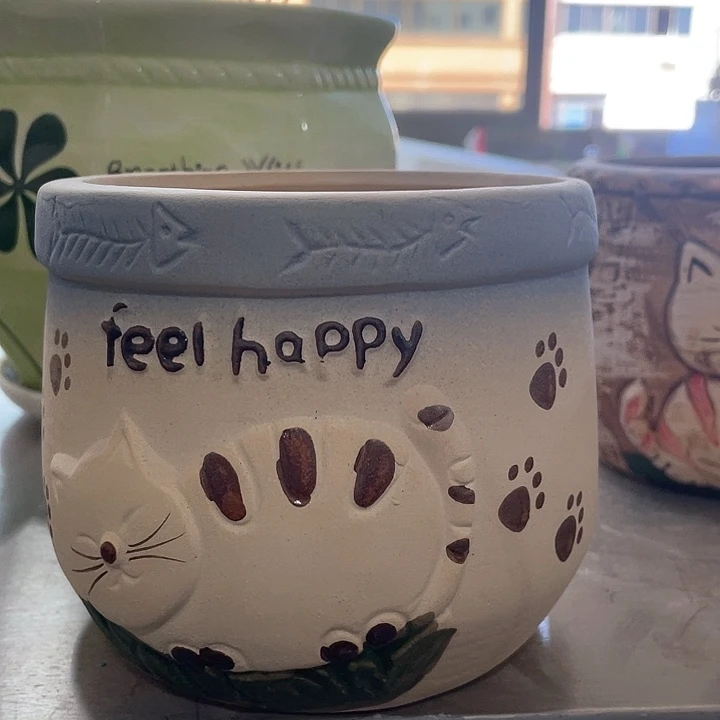 331166161646494949495