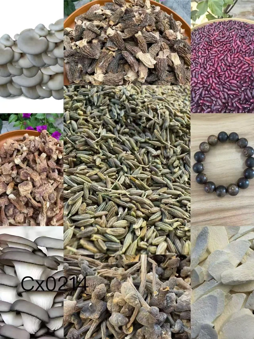 《阿浩专用土特产CX0214》多样性发货 重量25克左右